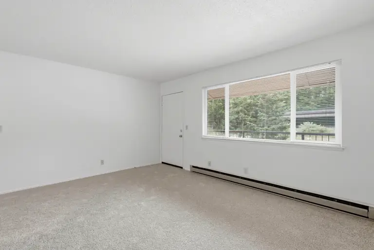 Living room with a large window, carpet and the front door